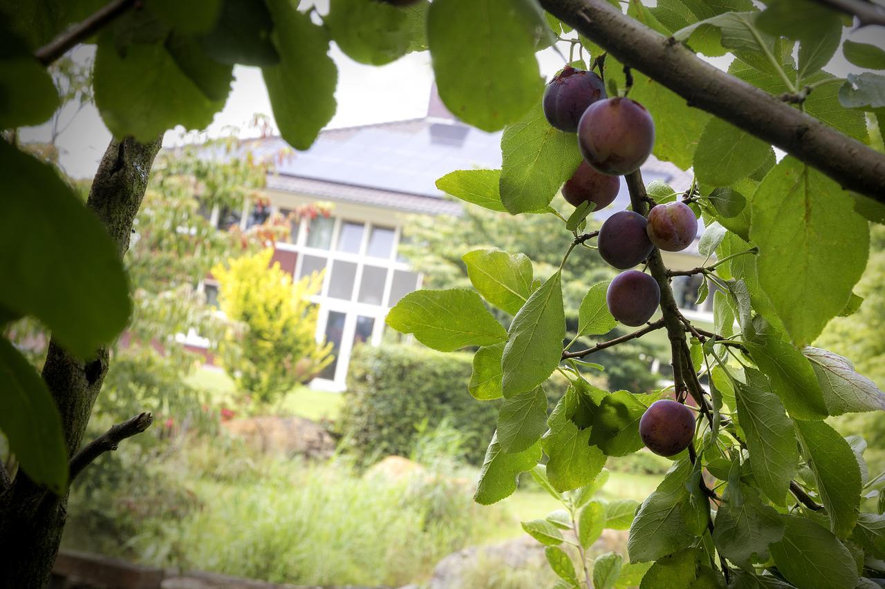 Villa Het Bascour Holthees エクステリア 写真
